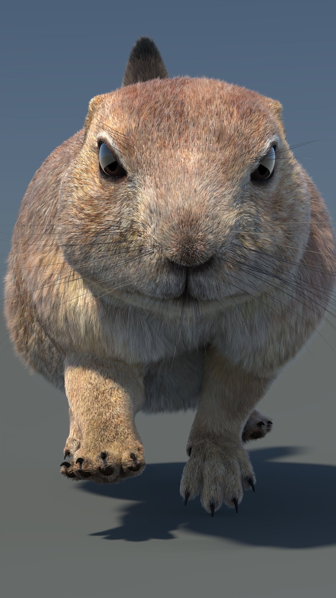 Animated Prairie Dog 3D Model Fur 360° view 5 frame 7