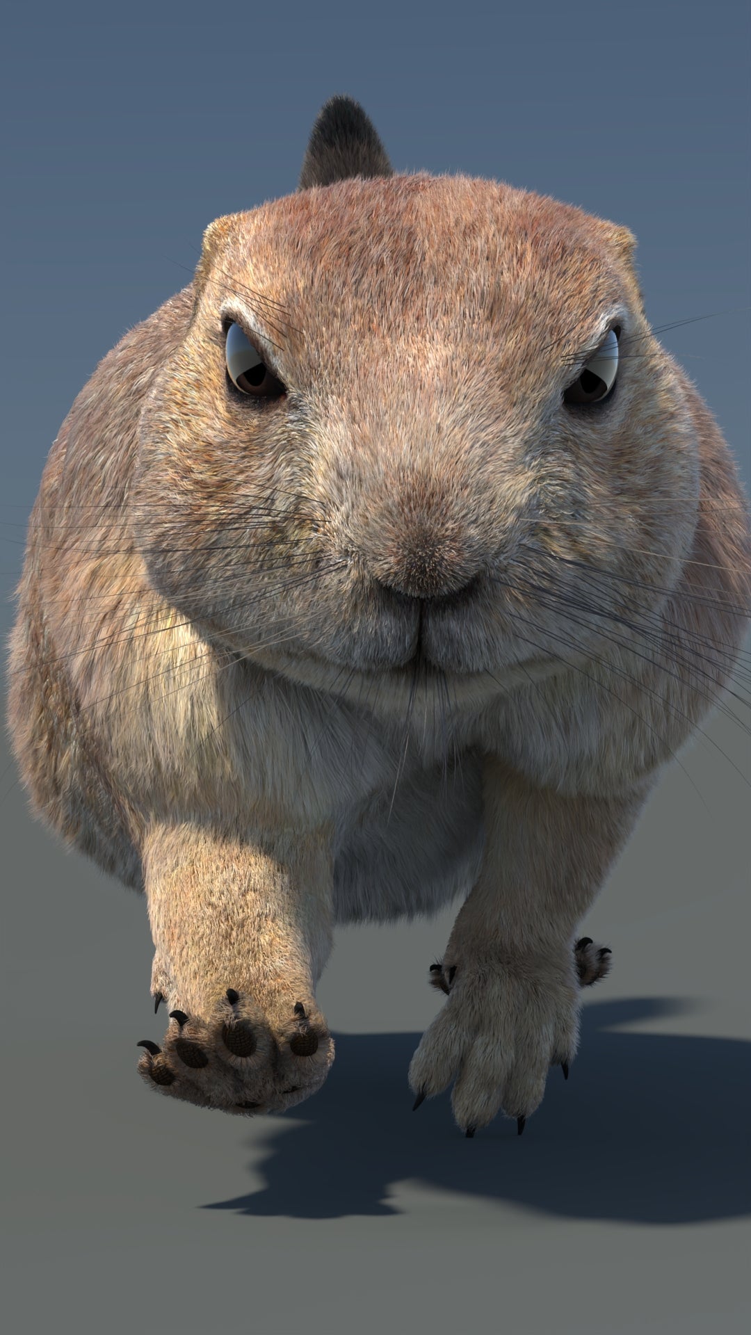 Animated Prairie Dog 3D Model Fur 360° view 5 frame 8