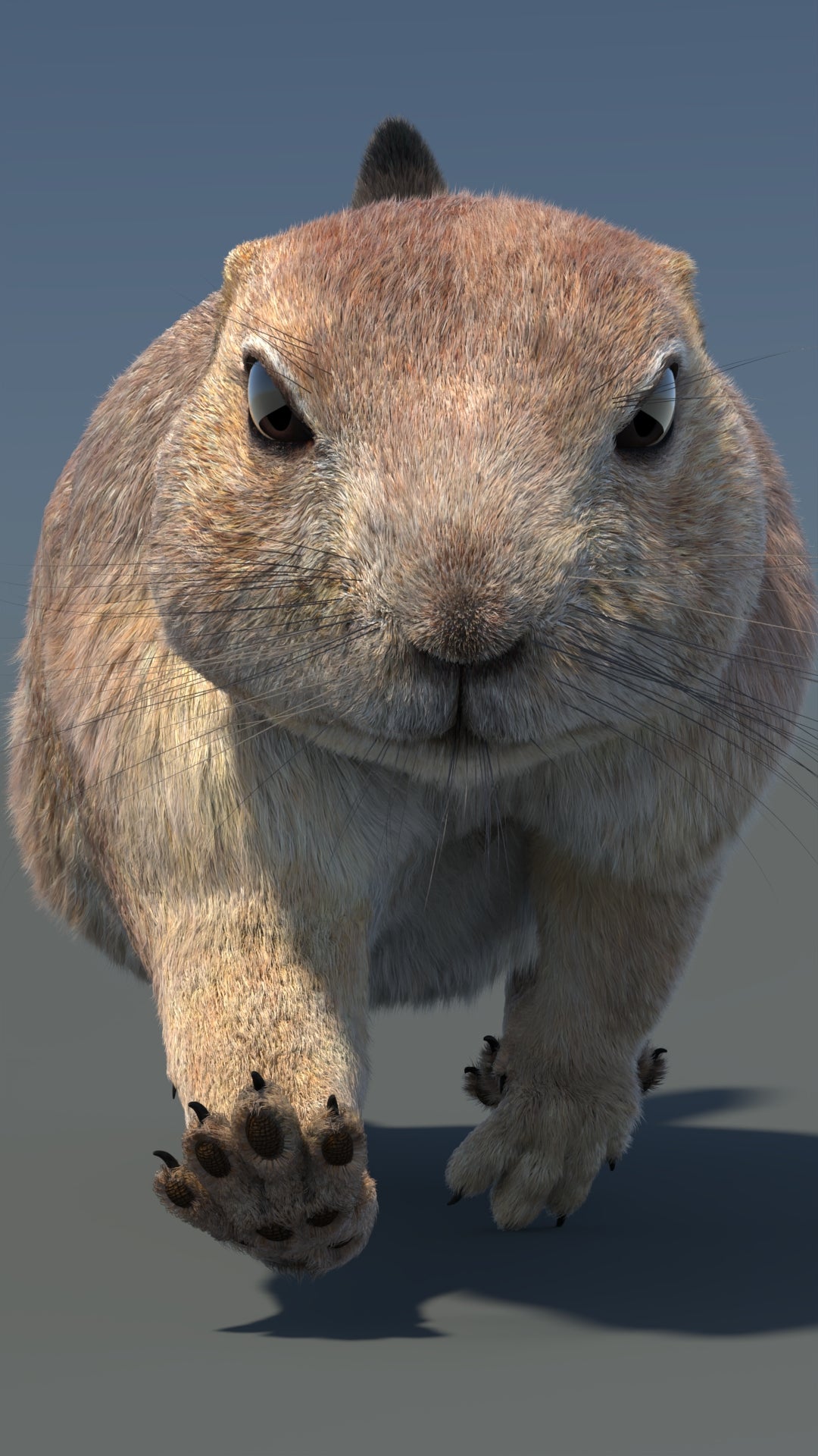Animated Prairie Dog 3D Model Fur 360° view 5 frame 9