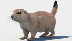 Prairie Dog 3D Model with Fur Thumbnail