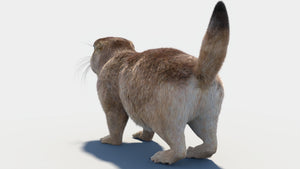 Prairie Dog 3D Model with Fur Thumbnail