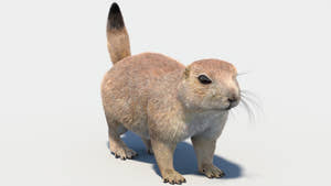 Prairie Dog 3D Model with Fur Thumbnail