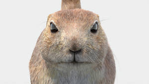 Prairie Dog 3D Model with Fur Thumbnail