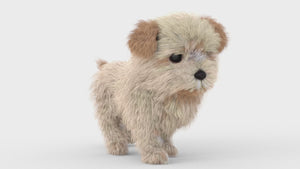 Animated Maltipoo Dog Puppy 3D Model Alpha Hair - Walk Cycle, and 360 View