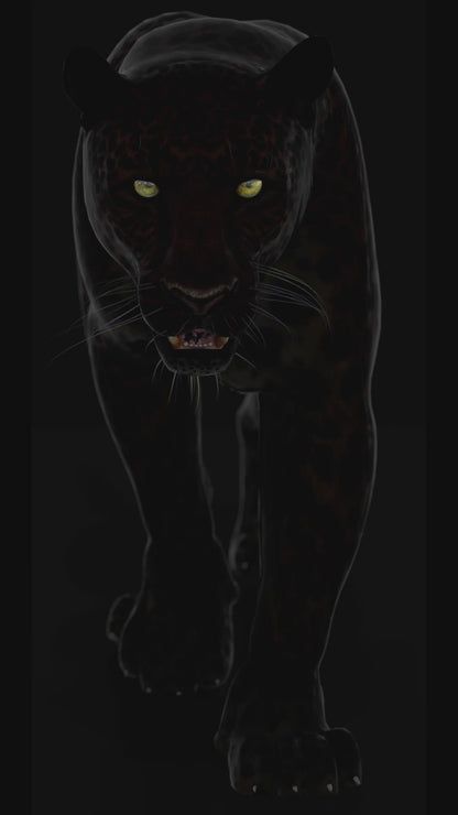 Animated Black Panther Animal 3D Model