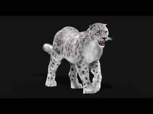 Animated Snow Leopard 3D Model with Fur - Walk and Run Animation cycles with Roar Thumbnail