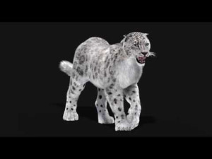 Animated Snow Leopard 3D Model with Fur - Walk and Run Animation cycles with Roar Thumbnail