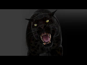 Realistic Black Panther 3D Model with Animations Run, Walk and Roar, ready for production Thumbnail