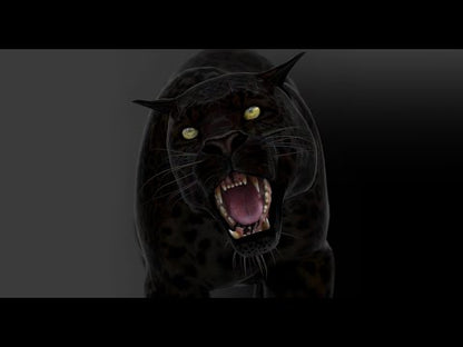 Animated Black Panther Animal 3D Model
