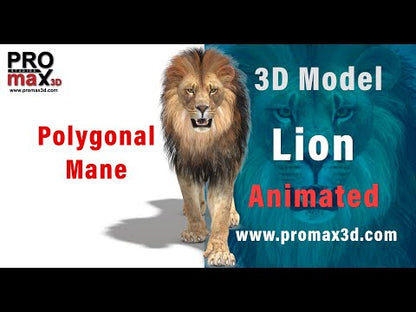 Lion 3D Model Animated YouTube video with walk, and run animations