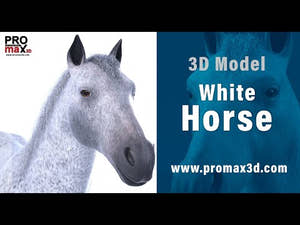 White Horse 3D Model  for Download Thumbnail