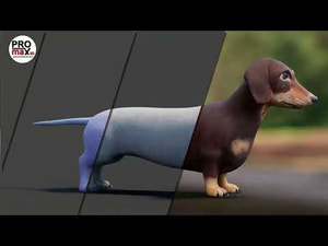 Dachshund Dog 3D Model Youtube 4K Video 360 View Thumbnail