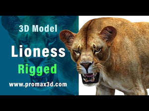 Lioness 3D Model Rigged 360 View Thumbnail