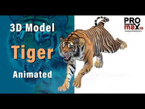 Realistic Animated Tiger 3D Model for Game | PROmax3D Thumbnail
