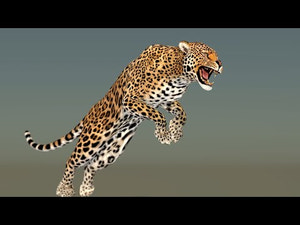 Leopard 3D Model Animated Thumbnail
