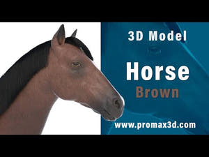 Horse Brown 3D Model Thumbnail
