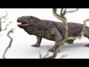 Animated Komodo Dragon 3D Model Thumbnail