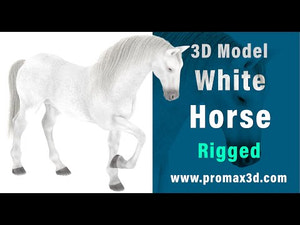 Rigged White Horse 3D Model  Thumbnail