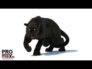 Rigged Black Panther 3D Model with Fur Thumbnail