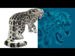 Rigged Snow Leopard 3D Model with Fur 360 View Thumbnail