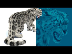 Rigged Snow Leopard 3D Model with Fur 360 View Thumbnail