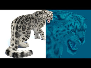 Rigged Snow Leopard 3D Model with Fur 360 View Thumbnail