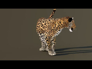 Leopard 3D Model Animated Thumbnail