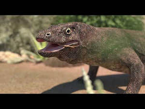 Komodo Dragon 3D Model Animation Thumbnail