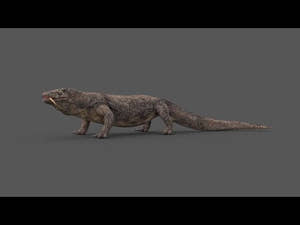 Rigged Komodo Dragon 3D Model for Download 360 View Thumbnail