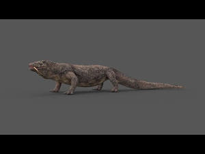 Rigged Komodo Dragon 3D Model for Download 360 View Thumbnail