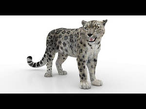Rigged Snow Leopard 3D Model for Download Thumbnail