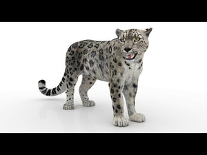 Rigged Snow Leopard 3D Model for Download Thumbnail