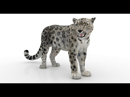 Rigged Snow Leopard 3D Model