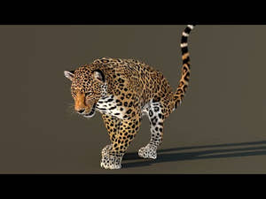 Leopard 3D Model Animated Thumbnail