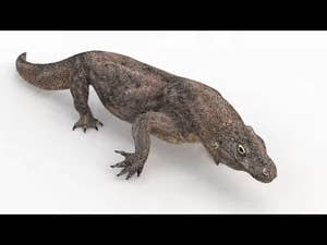 Animated Komodo Dragon 3D Model Thumbnail