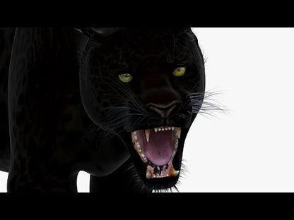 Animated Black Panther Animal 3D Model