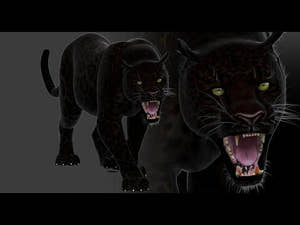 Lifelike Black Panther 3D Model Animated Thumbnail