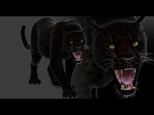 Lifelike Black Panther 3D Model Animated Thumbnail