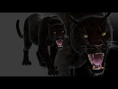 Animated Black Panther Animal 3D Model