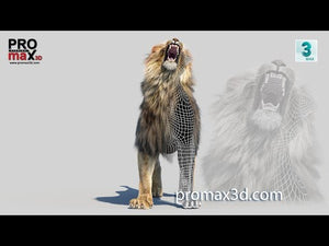 Animated Lion 3D Model with Fur Roar Animation with Hair Dynamic Thumbnail