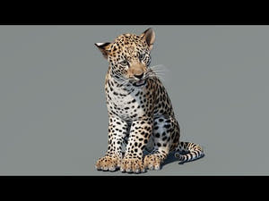 Rigged Leopard Cub 3D Model for Game Thumbnail