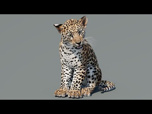 Rigged Leopard Cub 3D Model for Game Thumbnail