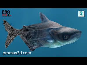 Animated Mekong Giant Catfish 3D Model Thumbnail