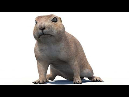 Animated Prairie Dog 3D Model