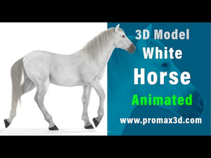 Animated White Horse 3D Model Thumbnail