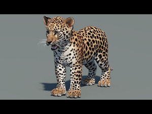 Leopard Cub 3D Model for Download Thumbnail