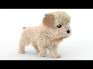 Animated Maltipoo Dog Puppy 3D Model Alpha Hair Thumbnail