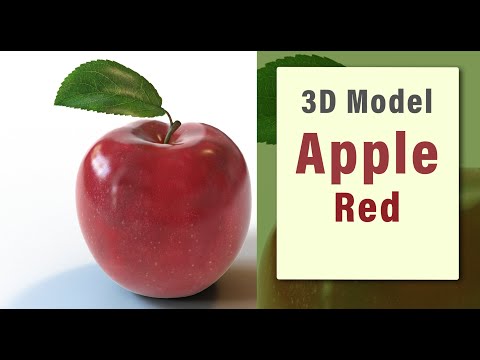 Red Apple Fruit 3D Model 360