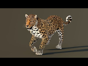 Leopard 3D Model Animated Thumbnail