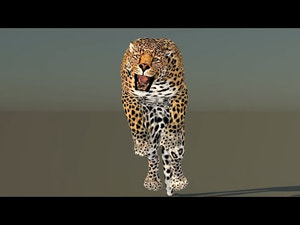Leopard 3D Model Animated Thumbnail